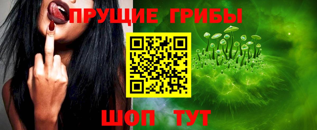 Галлюциногенные грибы Psilocybine cubensis Тула